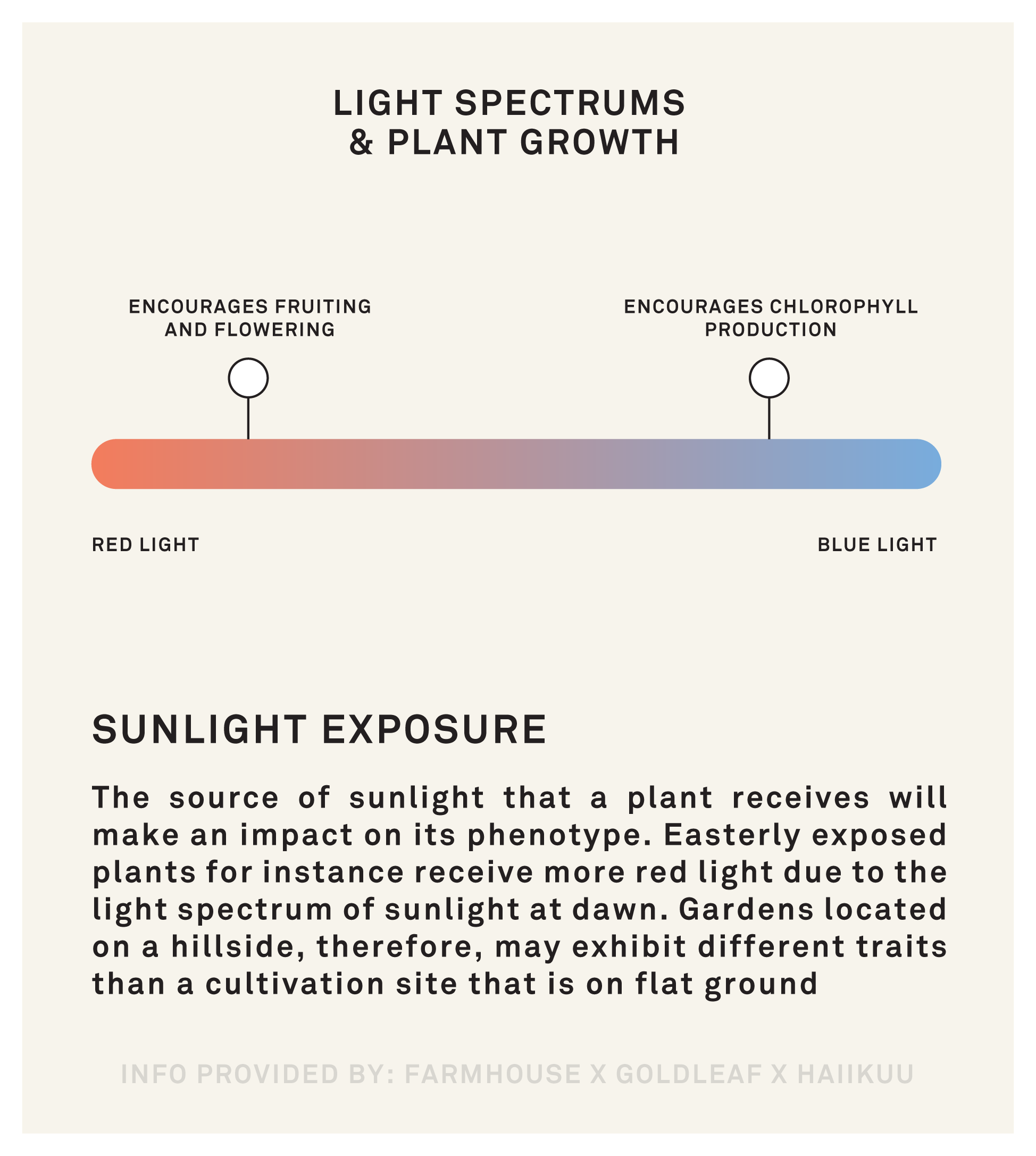 The source of sunlight a plant receives will make an impact on its phenotype. Easterly exposed plants for instance receive more red light due to the light spectrum of sunlight at dawn. Gardens located on a hillside, therefore, may exhibit different traits