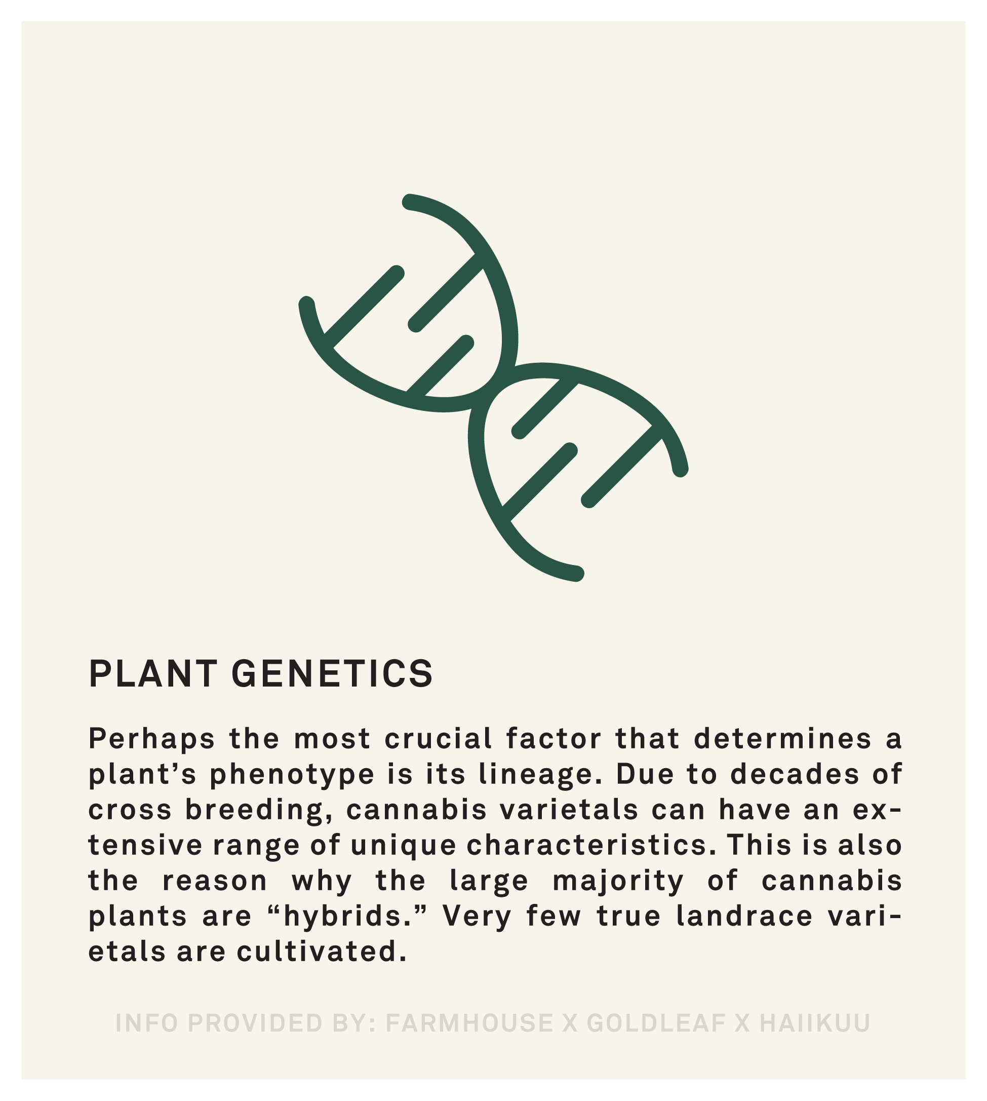 The most crucial factor that determines a plant's phenotype is its lineage. Due to decades of cross breeding, cannabis varietals can have an extensive range of unique characteristics.