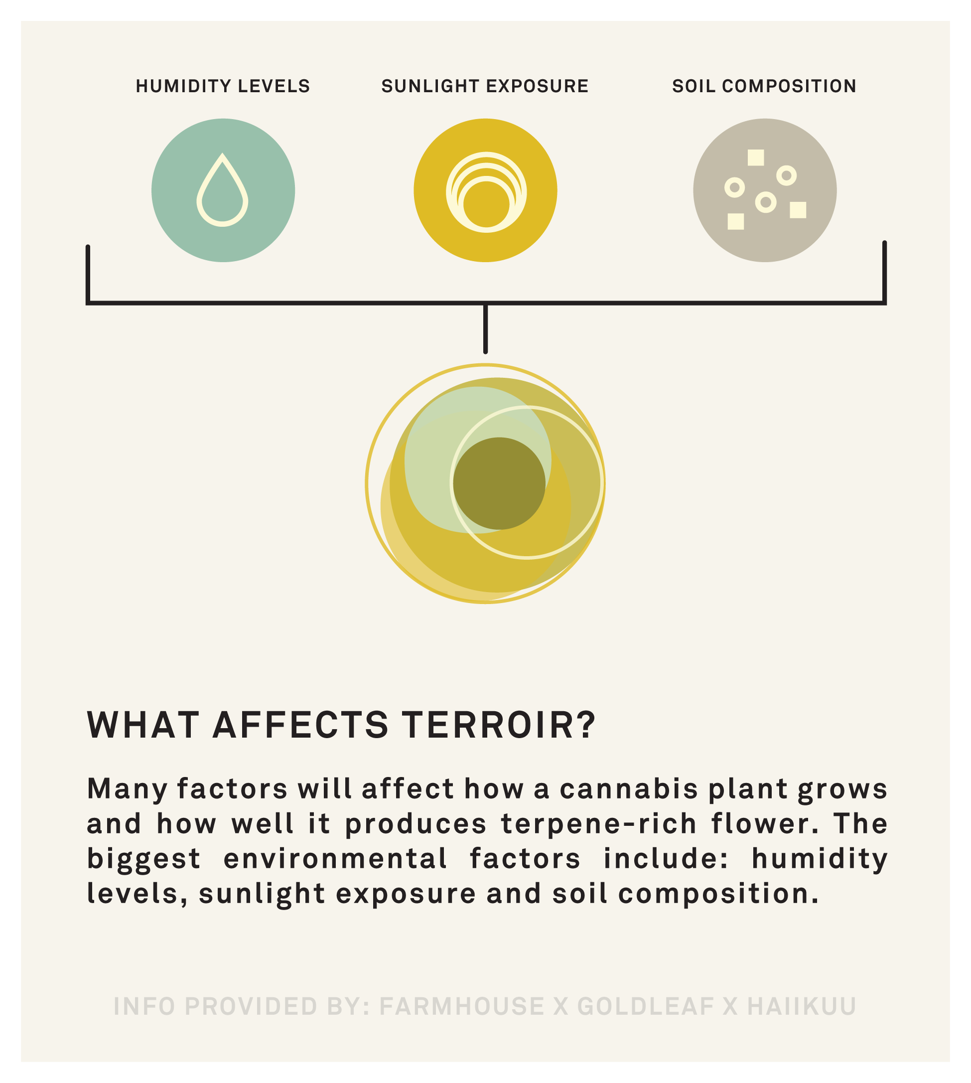 The biggest factors the affect cannabis terroir are humidity levels, sunlight exposure and soil composition.